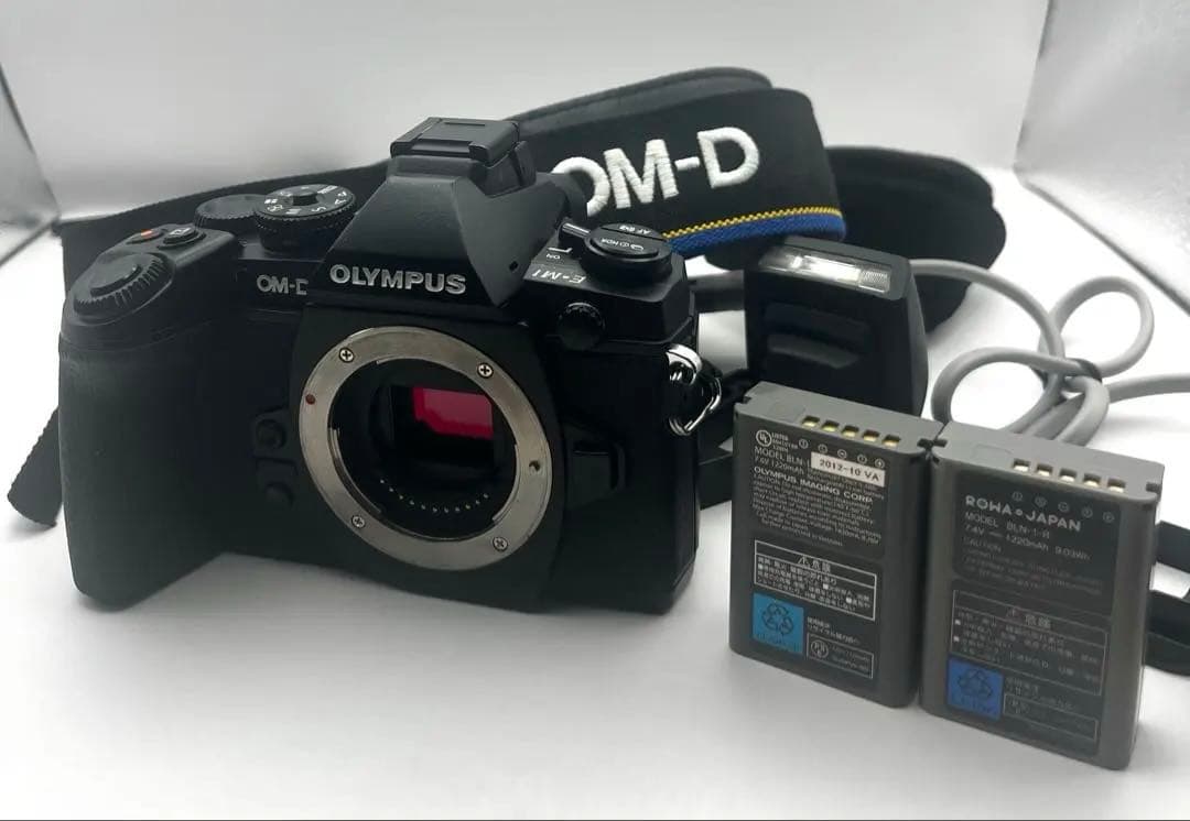 OLYMPUS OM-D EM-1 ボディ シャッター回数4241回