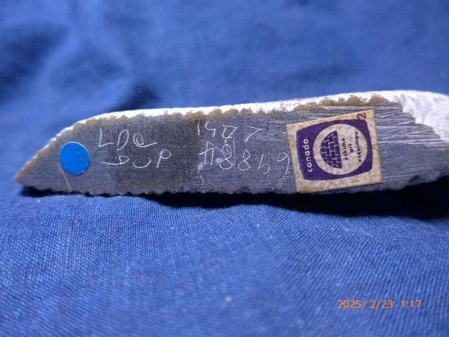 貴重なカナディアン　イヌイット／エスキモーのアザラシの石彫です