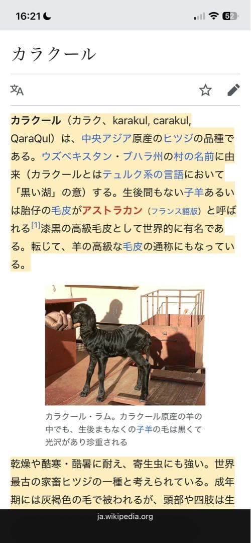 60’s カラクール 毛皮 リアルファー ベスト ビンテージ ブラック 50's