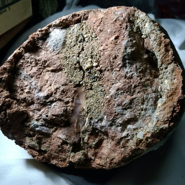 本物保証　恐竜ハドロサウルスの卵化石　絶品美肌の美品卵　極上カバー率　補修あり