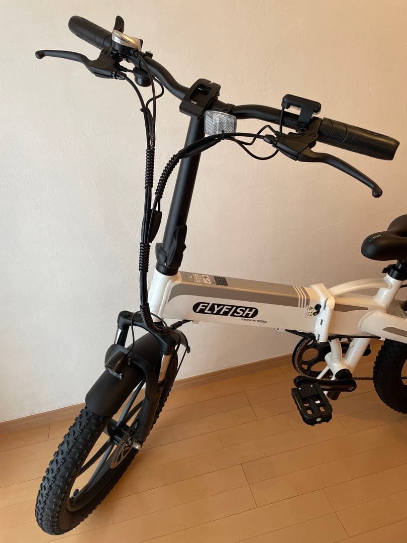 ⭐️2025年モデル 電動アシスト自転車 20インチ　FLYFISH⭐️