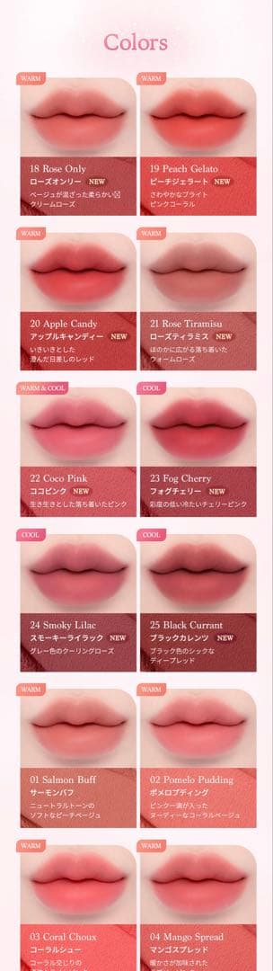 Dasique デイジーク　スフレカラーポット　12点セット