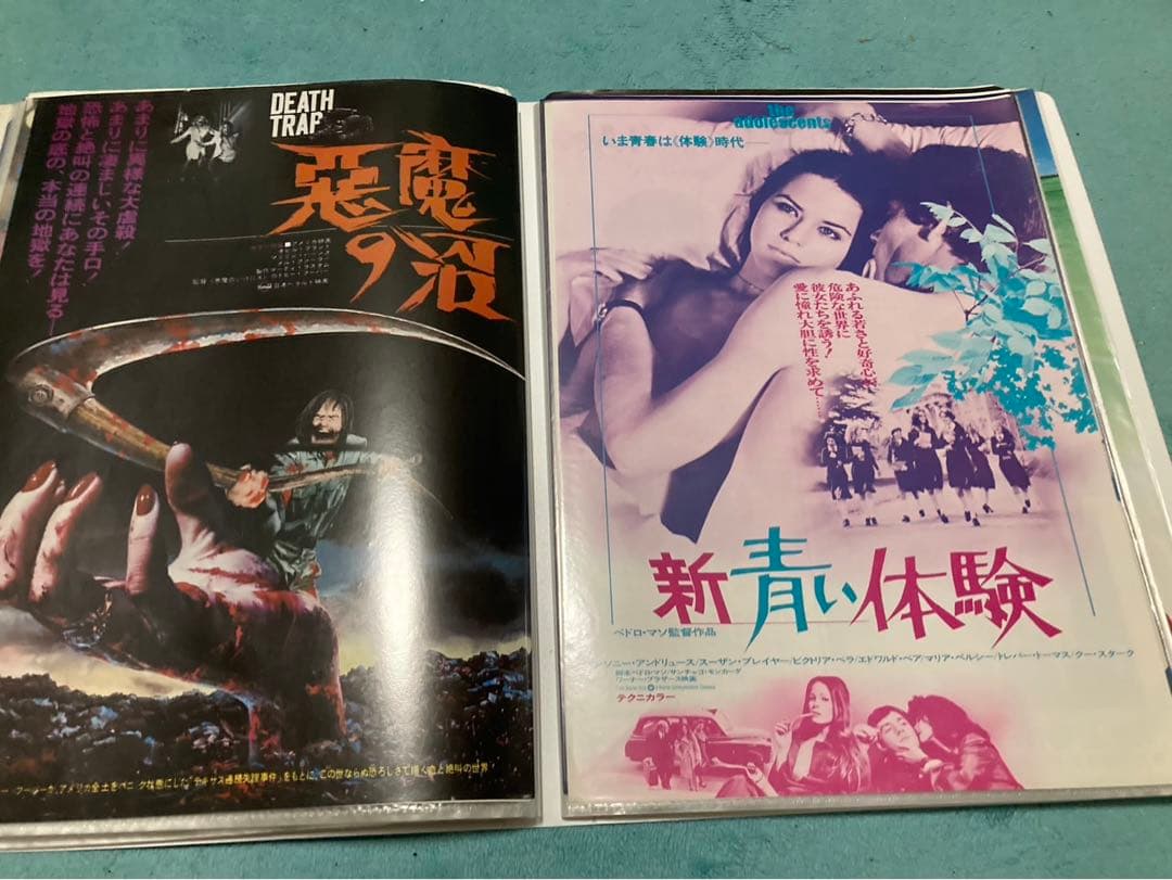 昭和　洋画など　チラシ　80枚　まとめ売り　フォルダー入り①