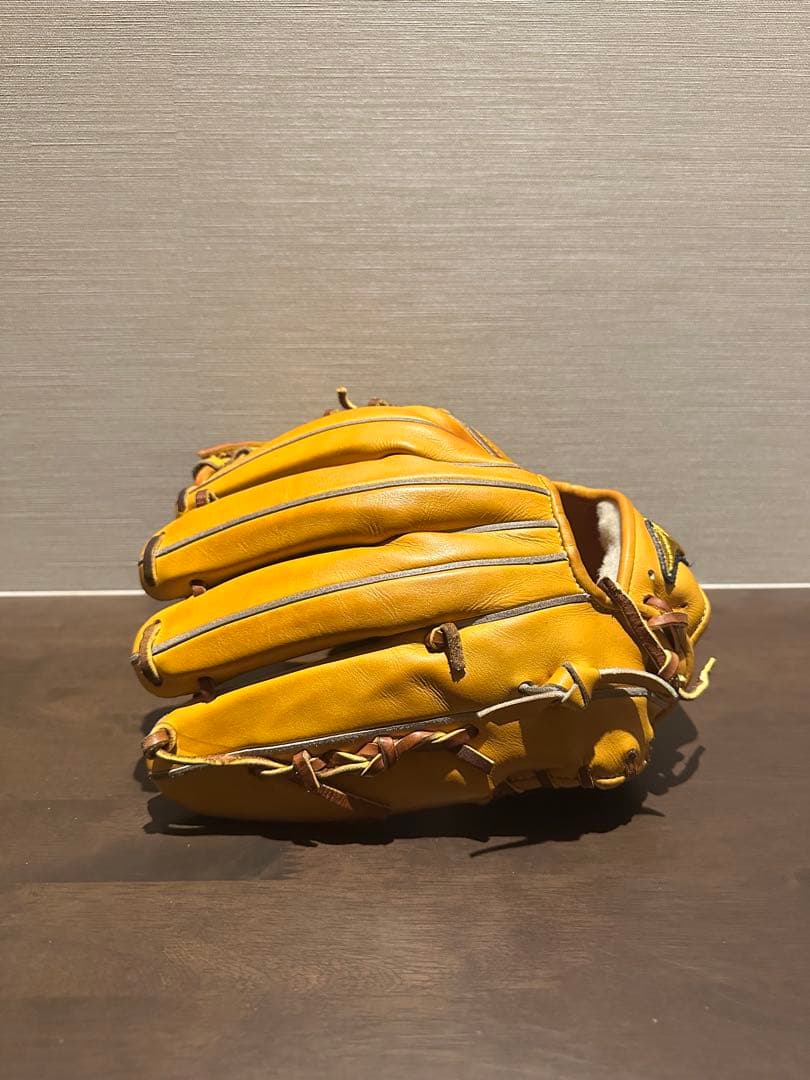 ミズノプロ　グローブ　for Professional