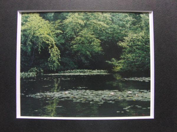 佐々木　友【睡蓮咲く】、希少画集画、状態良好、新品高級額装付