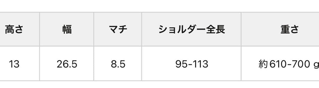 BEARDSLEY ビアズリー　レザーボディバッグ　新品未使用タグ付き