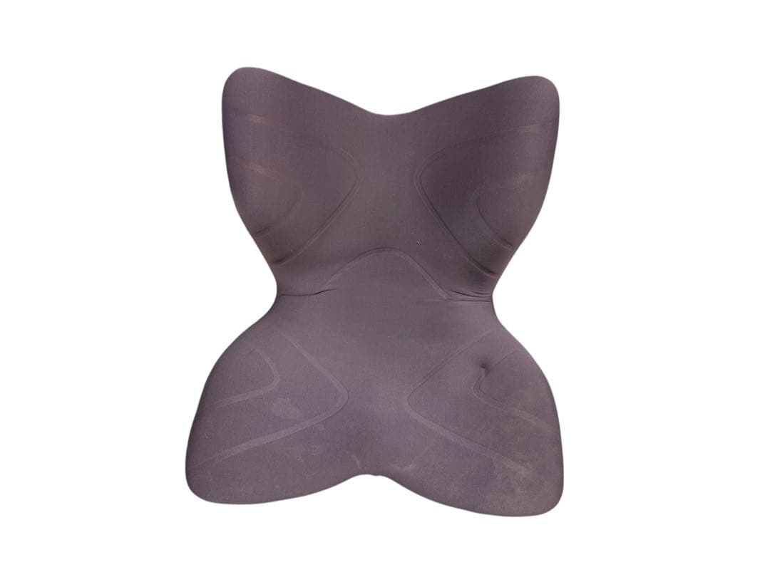 ◯姿勢サポート 骨盤矯正 スタイルプレミアム stylepremium