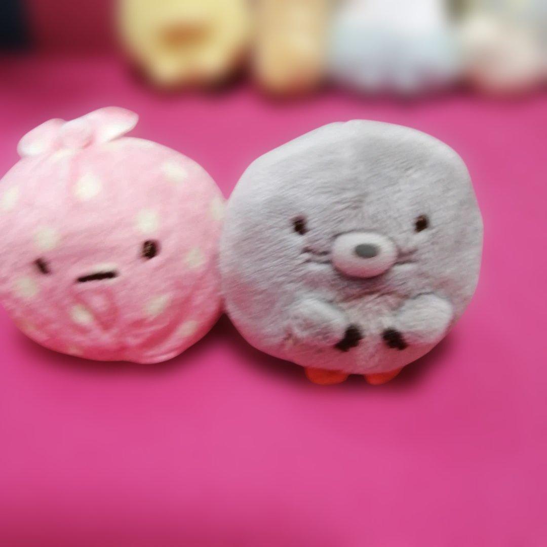 すみっコぐらし　手のりぬいぐるみ22体とお家.テント　合計16点セット