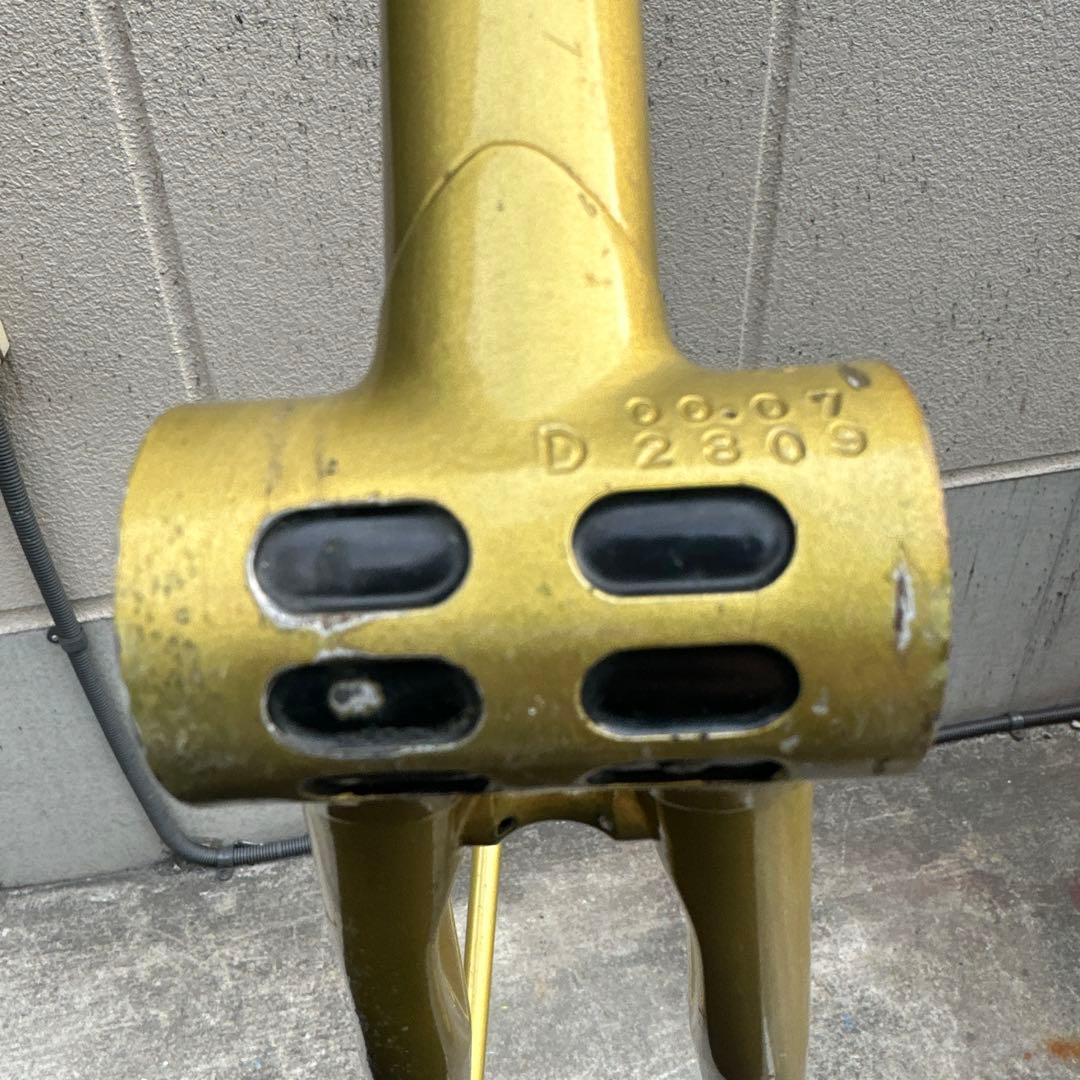 Ganwell njsフレーム ゴールド　クリスマスセール中！