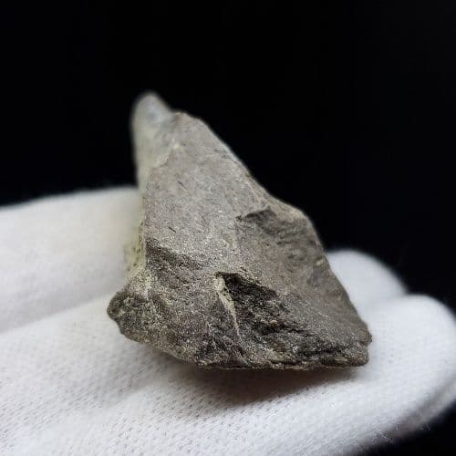 希少 ティラノサウルス 化石 骨 本物 アメリカ産 46.79mm tb105