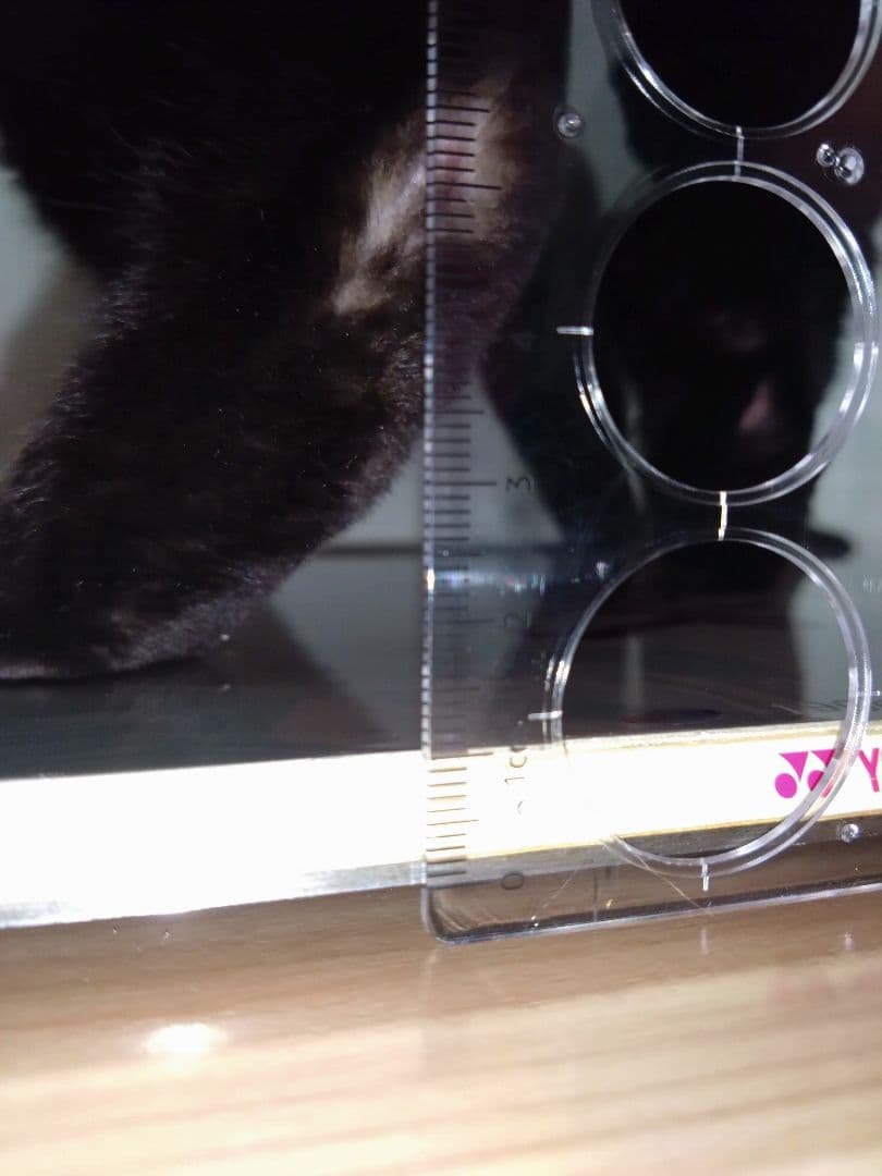 YONEX　スノーボード　Sleek