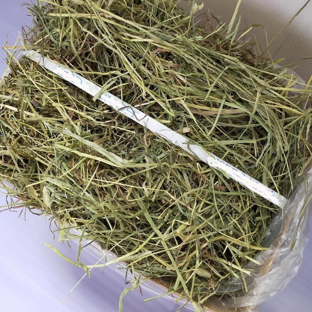 【家計応援価格】US産 チモシー 100kg ２番刈 ソフトSプレミアム