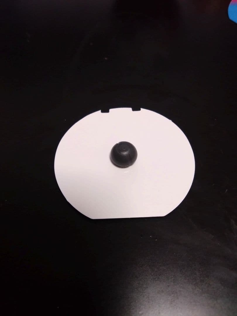 ポケパーク ピンズ ミュウツー