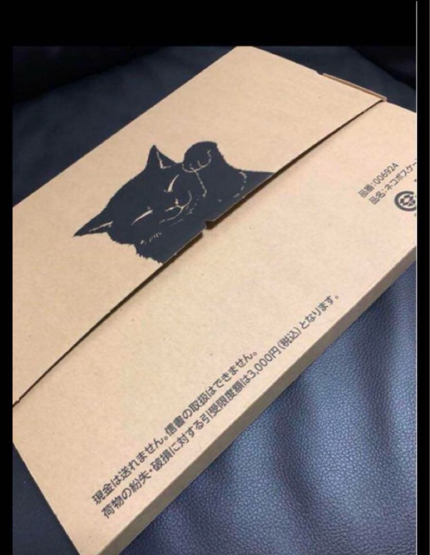 超レアピカチュウ記念ICOCA台紙付きデポジットのみ電車