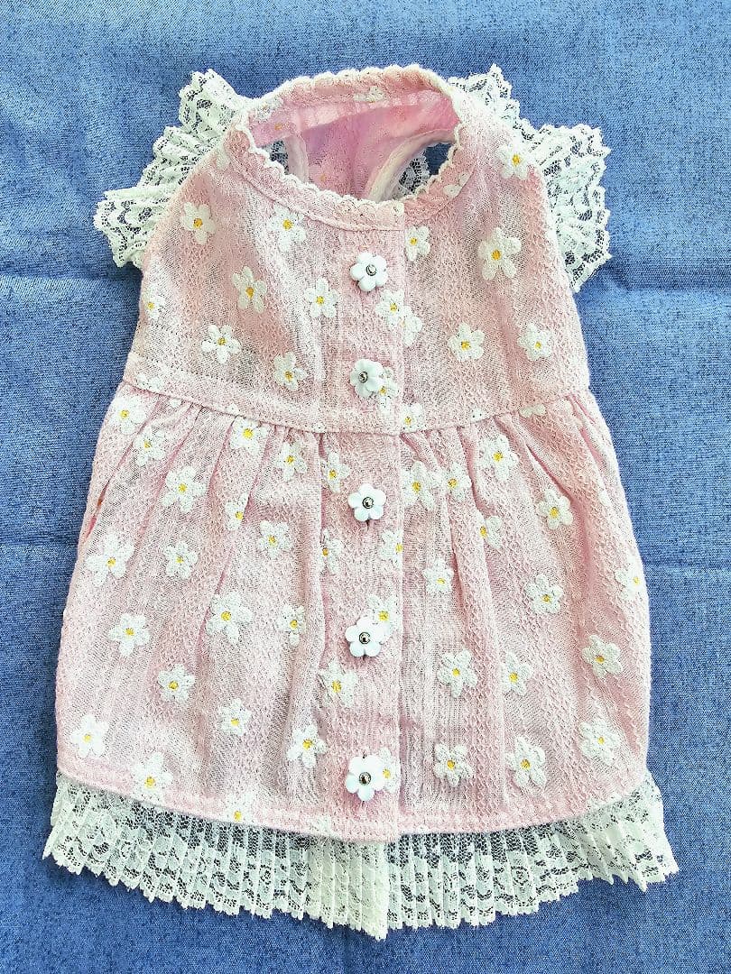 アトリエgg シークワーサーの花(ピンク)