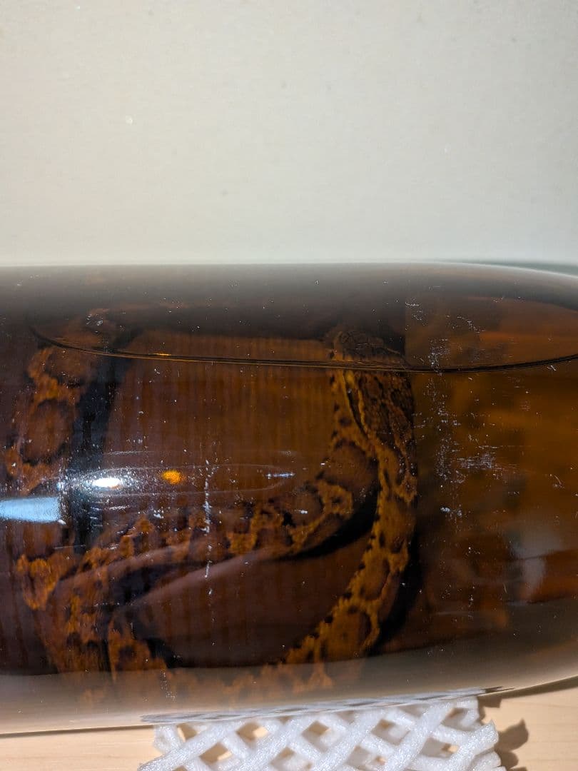 マムシ酒（岐阜県産）