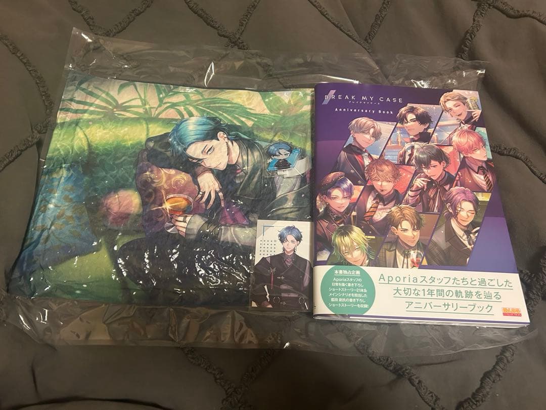 ブレイクマイケース アニバーサリーブックセット新名有