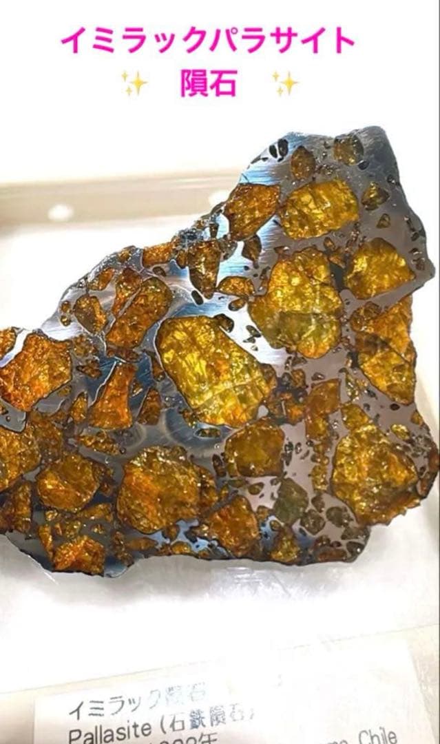 【存在感が段違い】28.0g イミラックパラサイト隕石標本（東京サイエンス購入）