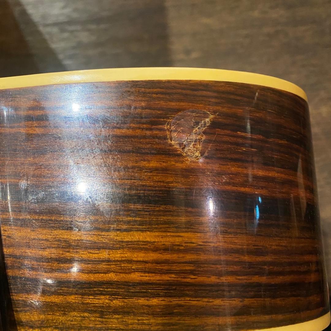 Morales M-18 Lyre Bird アコギ モラレス -x397