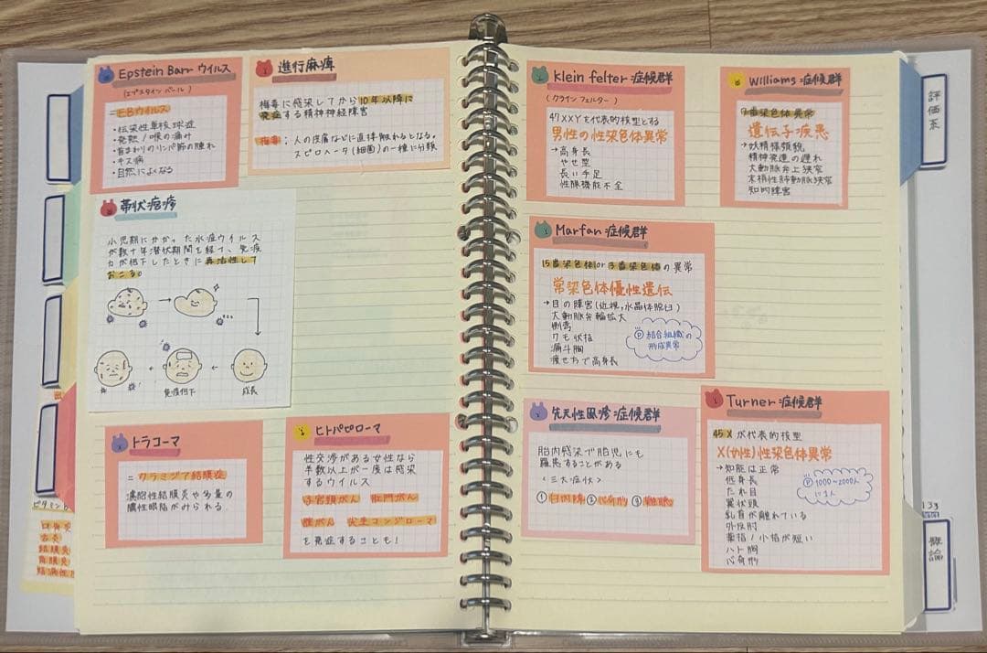 理学療法士 作業療法士 まとめノート、ふせんノート 【コピー】