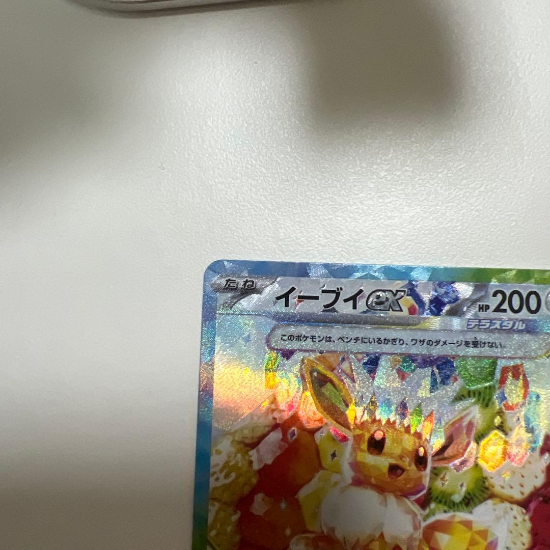 イーブイSAR2種類