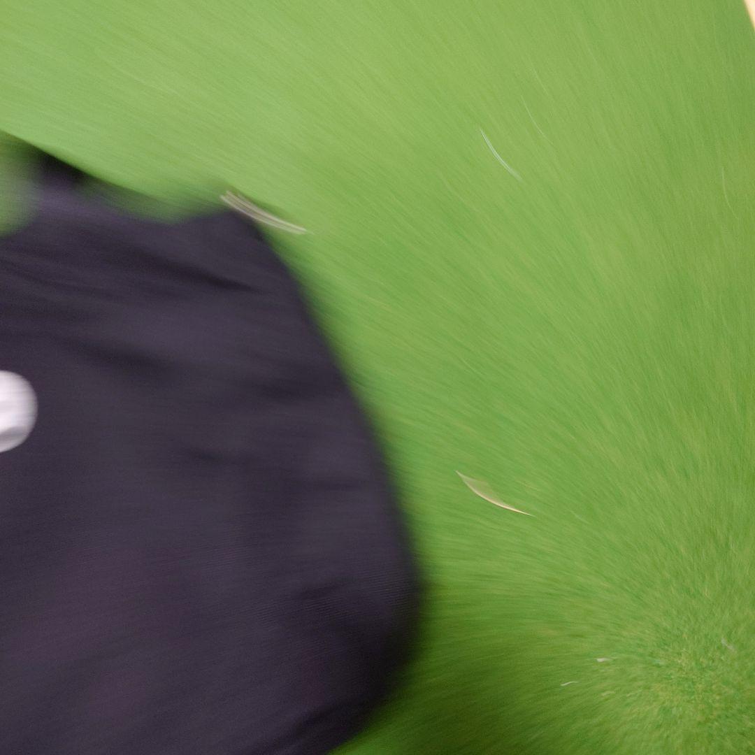 BRIEFING ゴルフエフォート コラボ カートバッグ