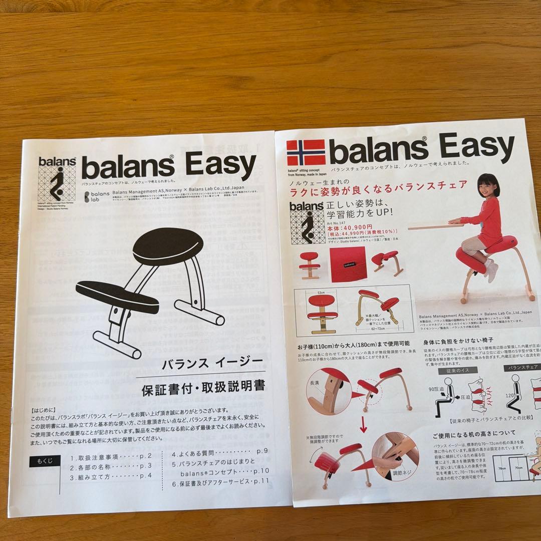 バランスイージー　ネイビー　がバー付き