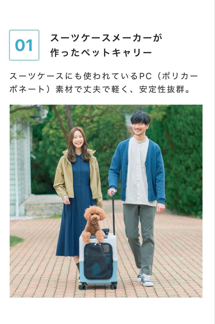 ペットキャリー petico ぺチコ　Mサイズ　水色