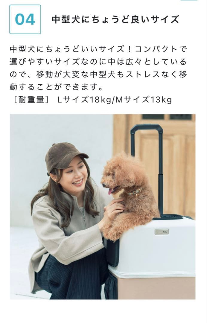 ペットキャリー petico ぺチコ　Mサイズ　水色