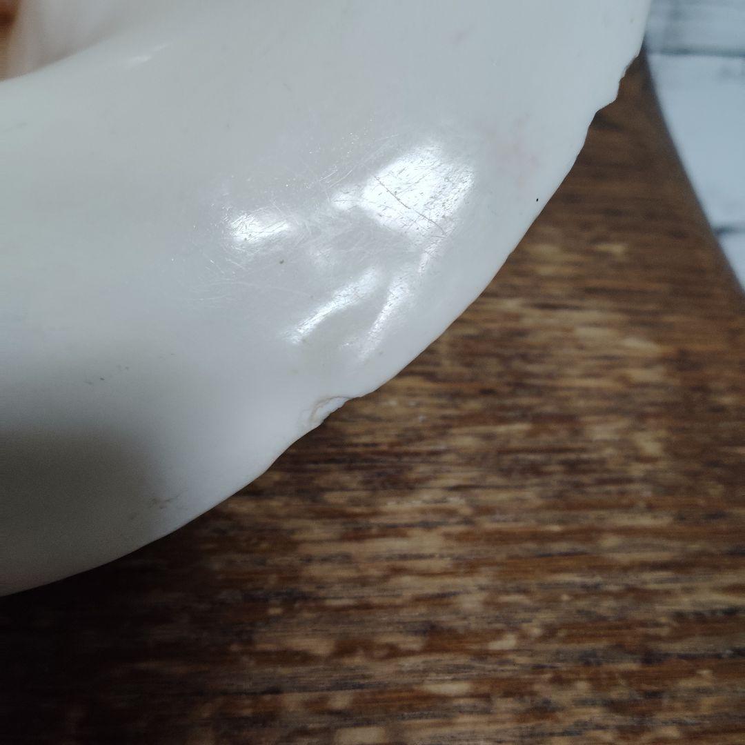 【希少・大型29cm】ブラジル産 ホラガイ 貝殻 天然石 インテリア 標本