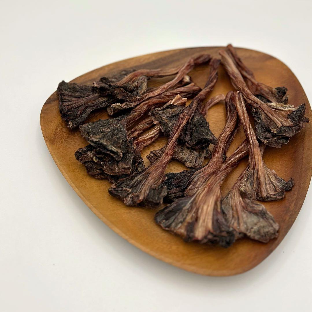 ドッグフード 45leaf