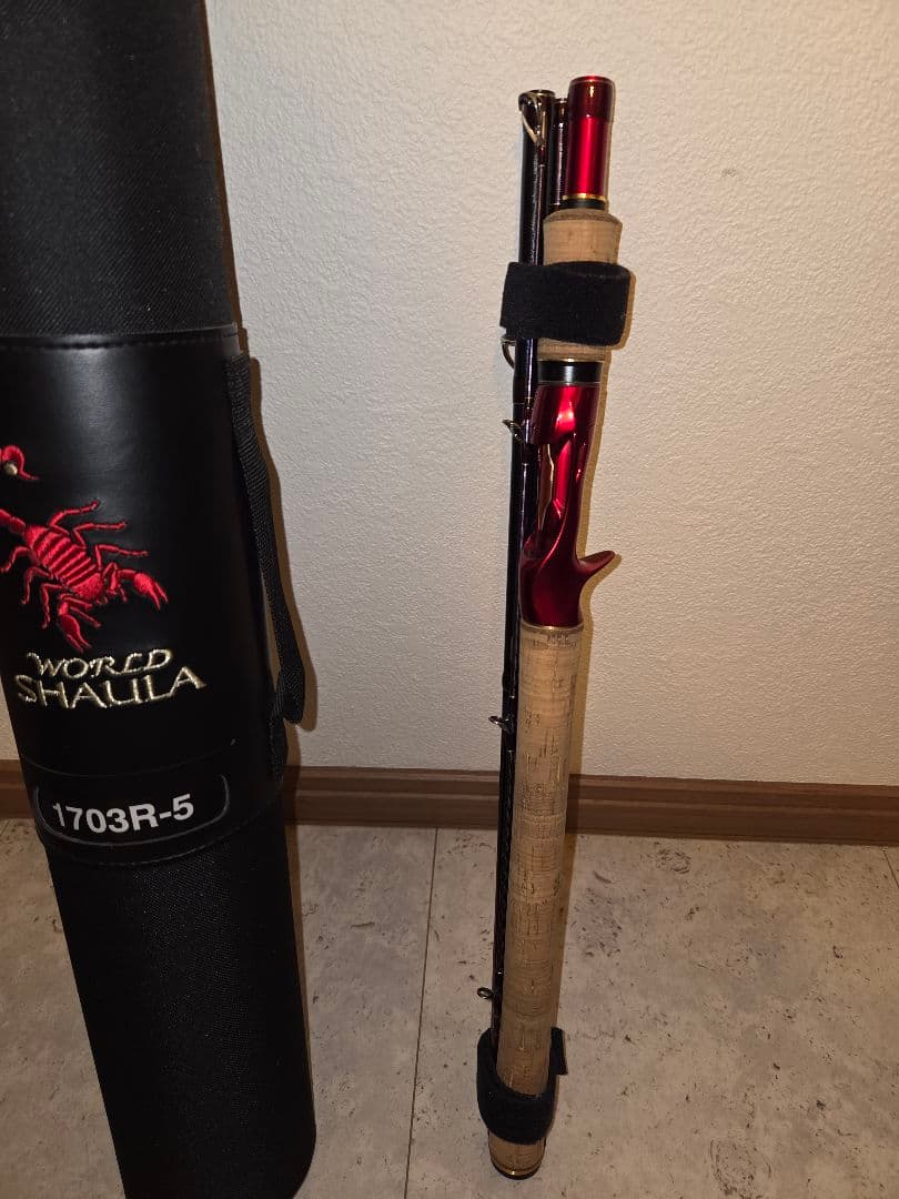 20ワールドシャウラDTE1703R-5