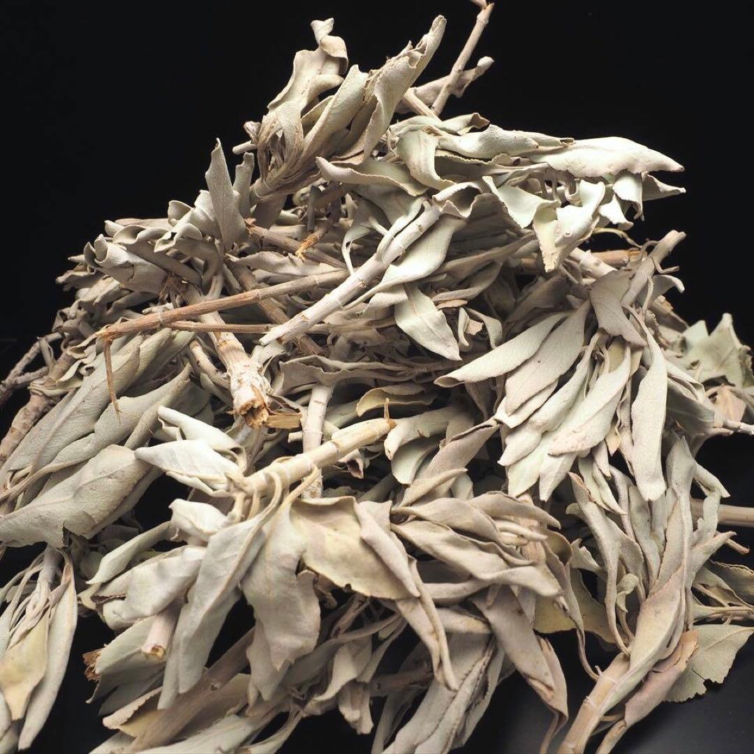 ★特選再入荷★無農薬カリフォルニア産【箱配送500g高品質ホワイトセージ】❤️