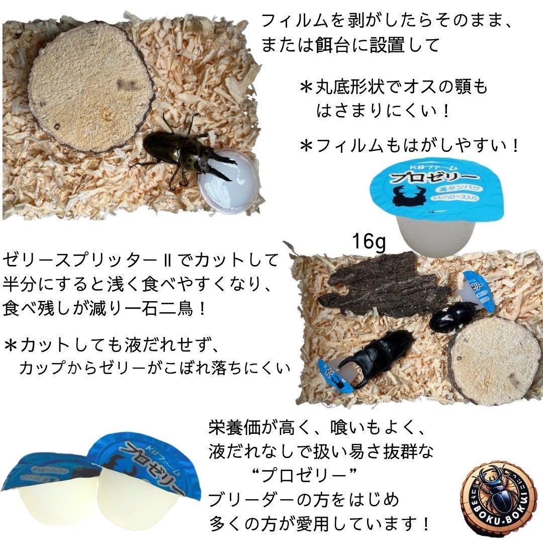 国産プロゼリー6000個KBファーム・カブトムシ　クワガタ 【木ぼく】