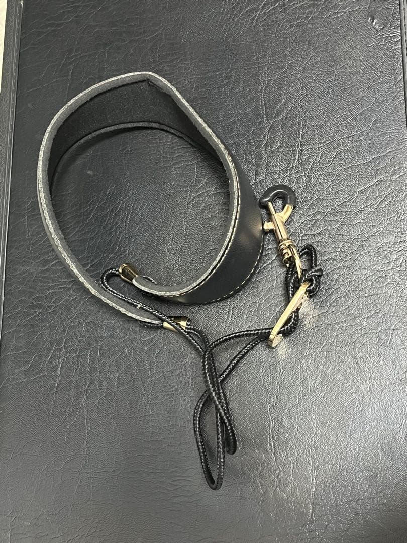 アルトサックスHeinrich