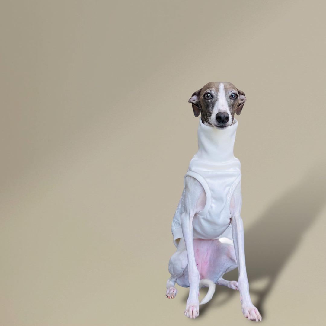 ⑭アラン風ニットトップス