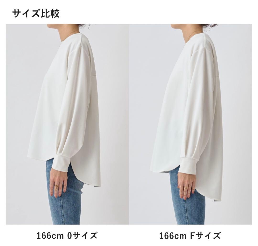 美品★ BEARDSLEY ビアズリー Tブラウス ホワイト