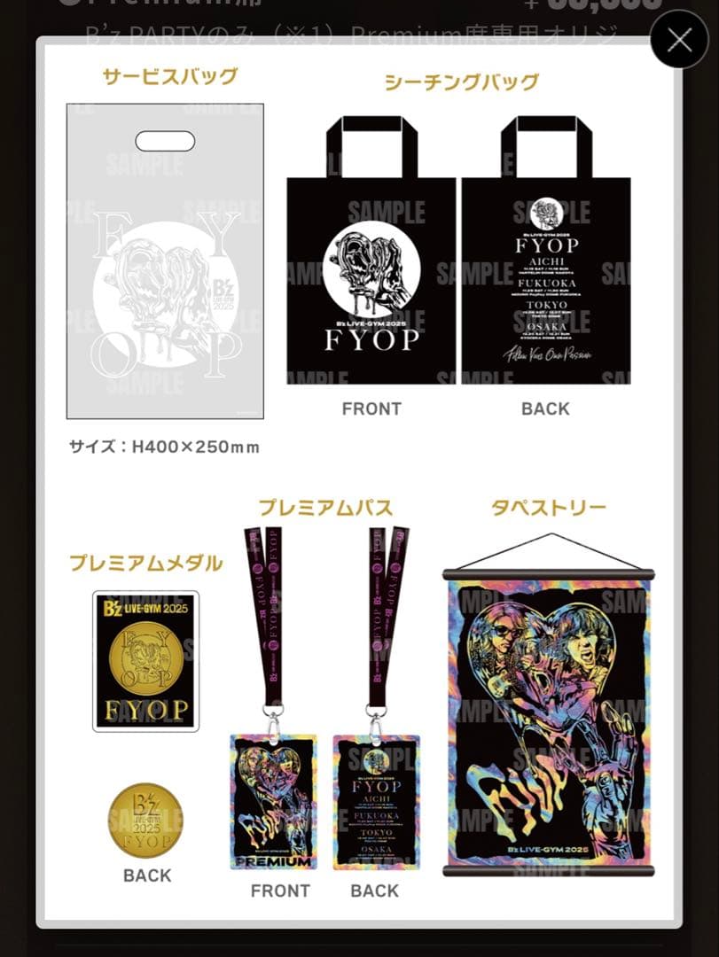【銀テープ付】B'z LIVE-GYM 2025 FYOP プレミアム席グッズ