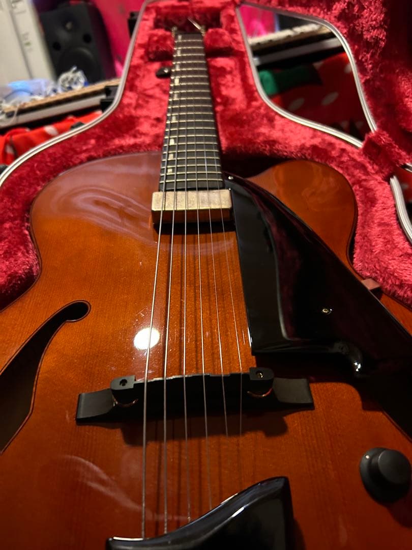 Ibanez フルアコ AFC-151 (ハードケース付き)