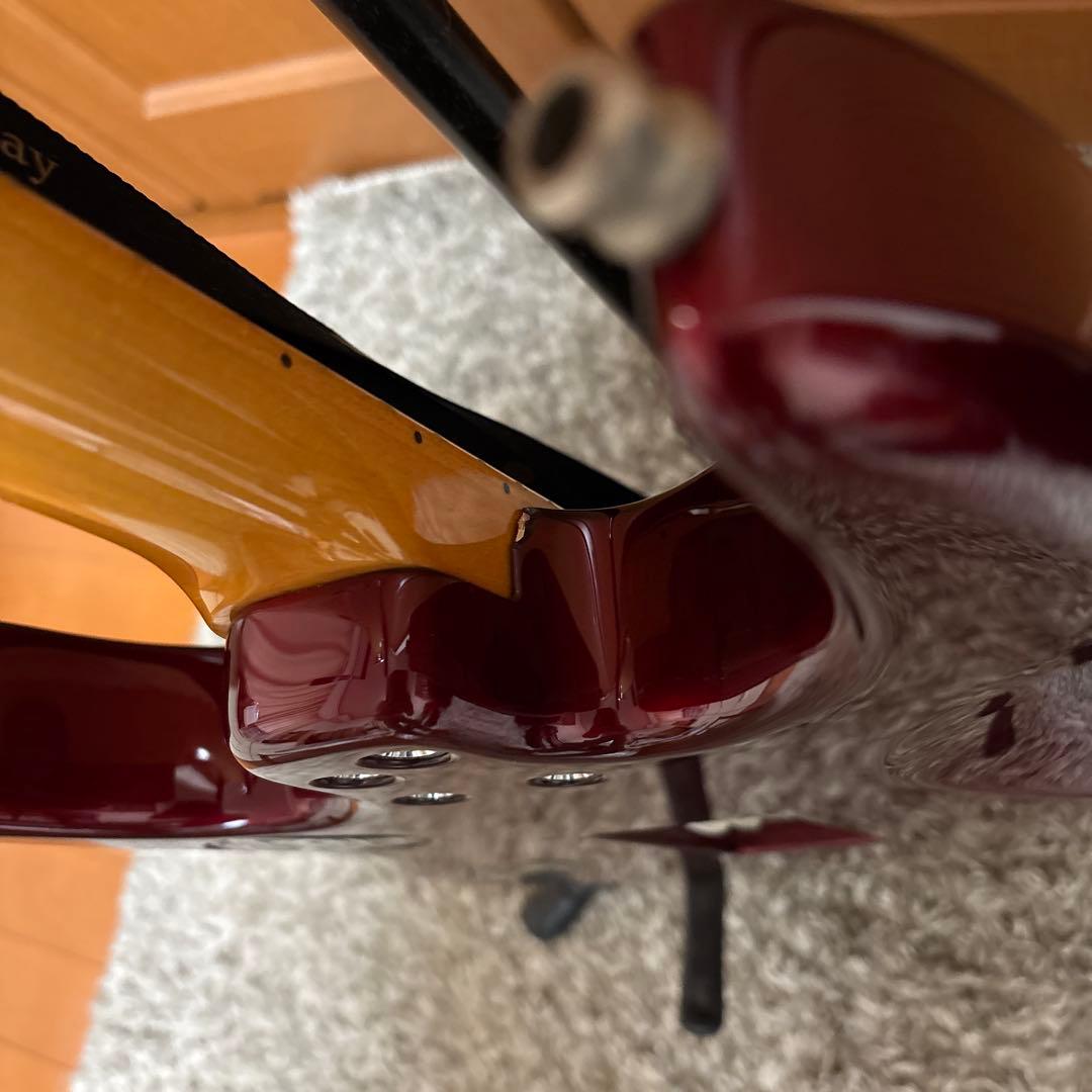 ギター killer fascist vice