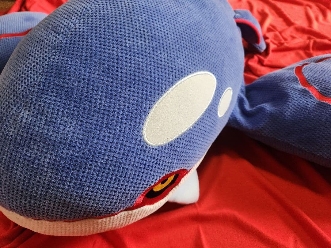 ポケモン　ハートランド　カイオーガ　ぬいぐるみ　ほーのぼ～の