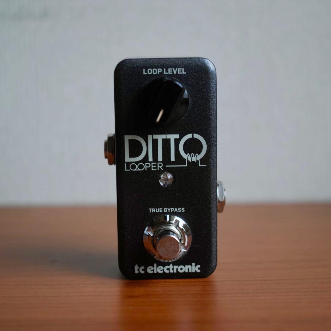 箱付き美品 tc electronic Ditto Looper ルーパー