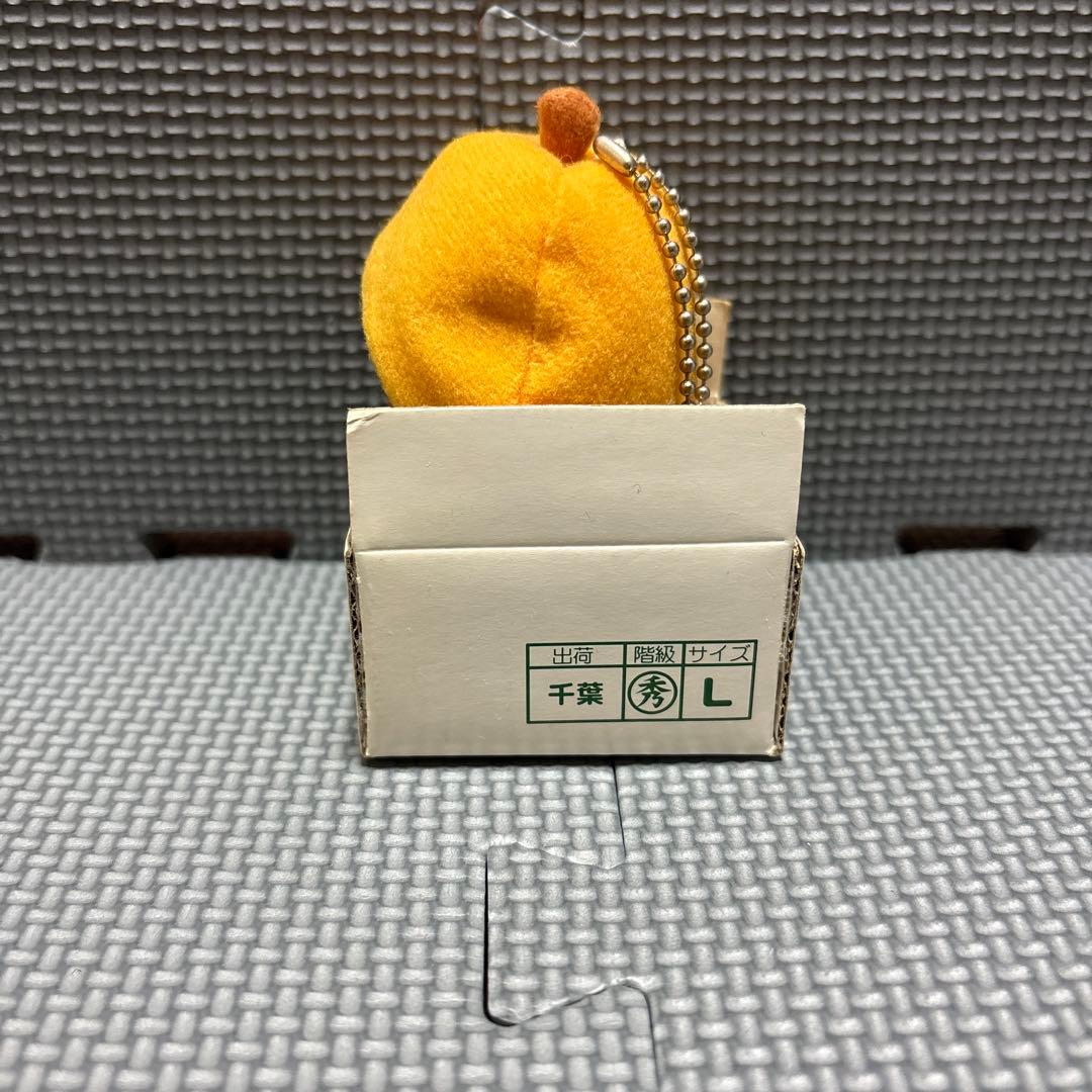 【激レア】ハローキティ ご当地 千葉 びわ ぬいぐるみ マスコット