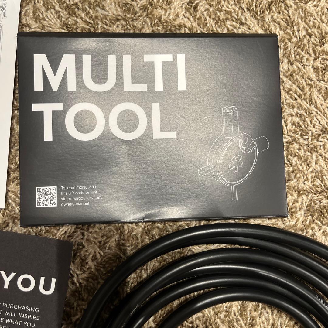 【美品】strandbergNX6 BodenStandard6弦ギター 付属品