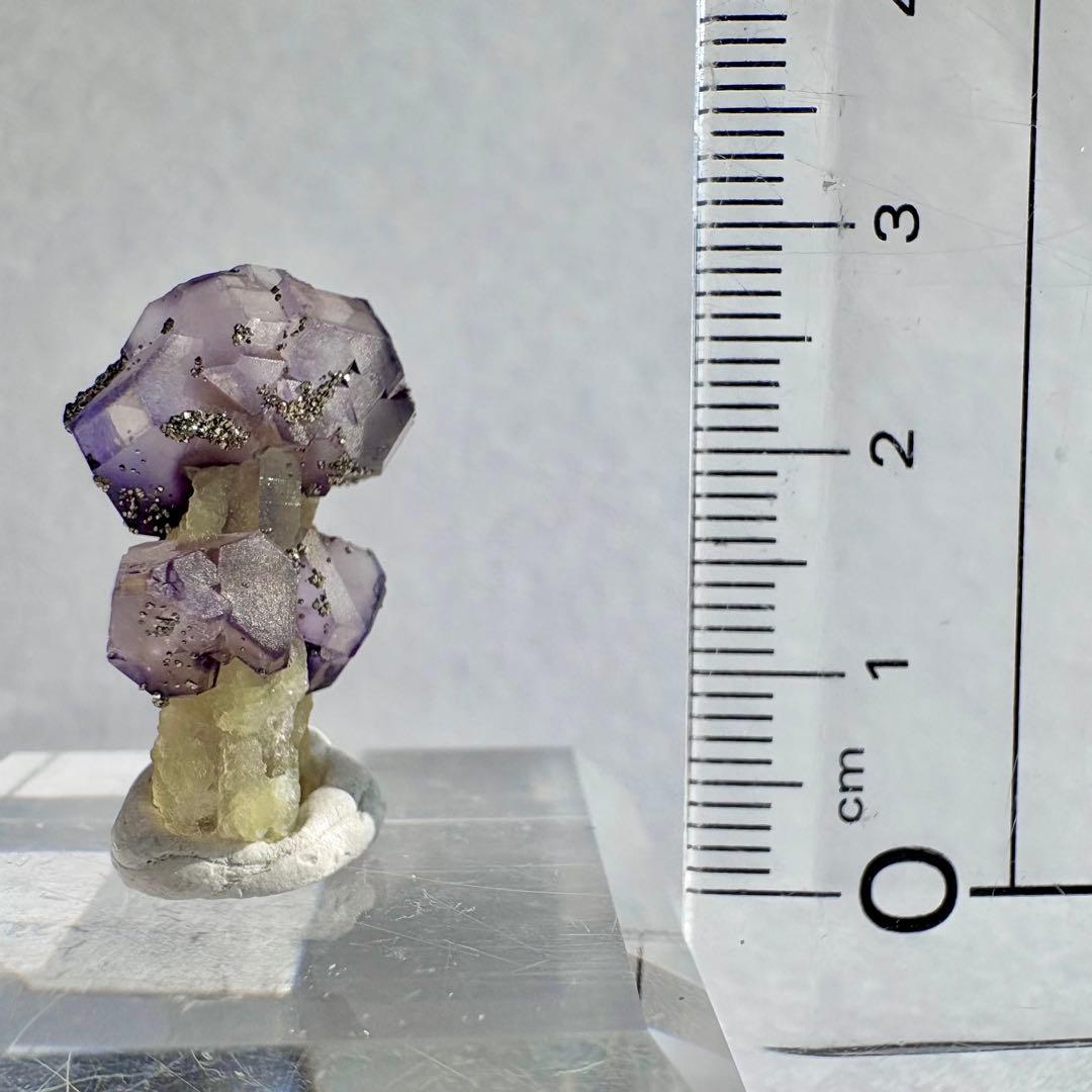 526 きのこタイプ 中国 内モンゴル産 フローライト&パイライト&クォーツ