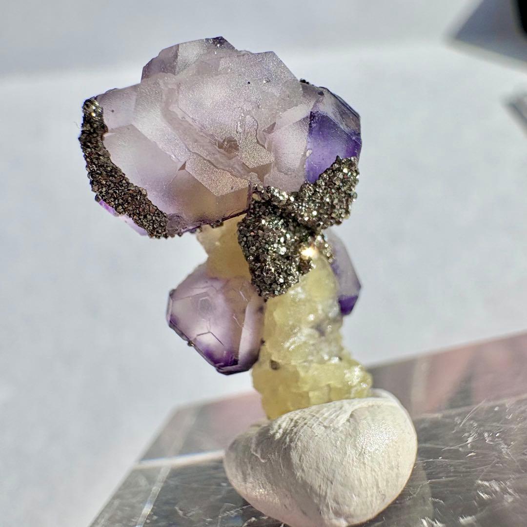 526 きのこタイプ 中国 内モンゴル産 フローライト&パイライト&クォーツ