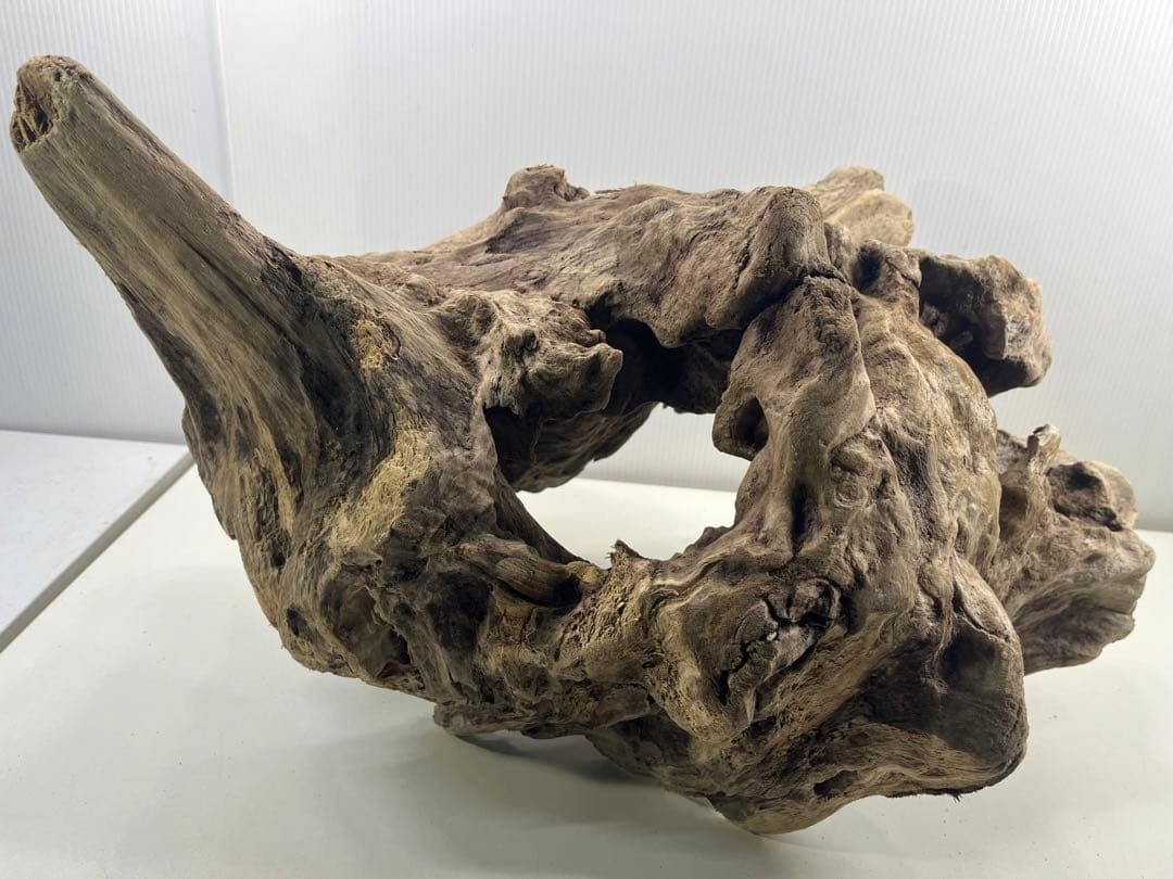 W30大型流木アク抜き済み流木 爬虫類シェルター 登り木 インテリア 生け花