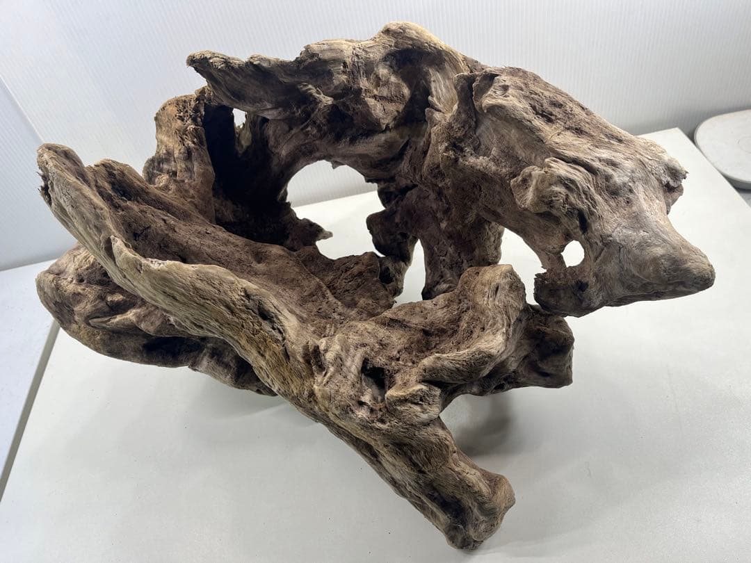 W30大型流木アク抜き済み流木 爬虫類シェルター 登り木 インテリア 生け花