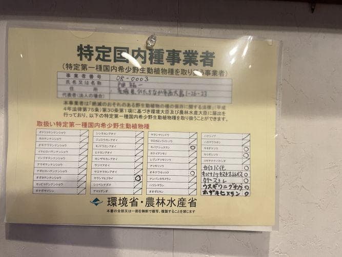 m*o様 タデスミレ 山野草