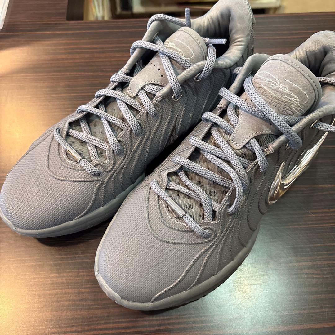 猫*ー様 Nike LeBron21 グレー